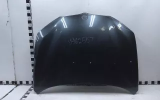 41007463772 Капот BMW X1 F48 Арт A996255T, вид 1