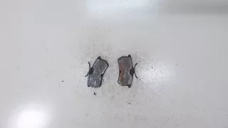 1075565,98AB2M008BA Тормозные колодки задние Ford Focus 1 Арт 8073481, вид 1