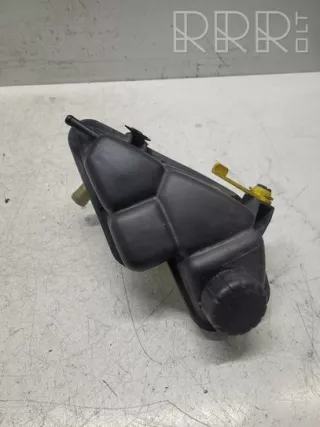 1685000249 , artRKR10082 Бачок расширительный Mercedes Vaneo Арт RKR10082, вид 1