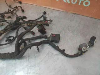 2037372, DN1T12A522DC проводка двигателя Ford EcoSport Арт 153976PM, вид 3