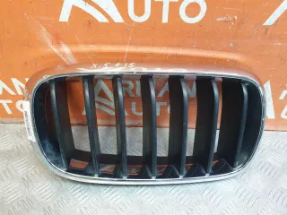 51137294486, 7316076 решетка радиатора BMW X5 F15 Арт 228140PM, вид 1