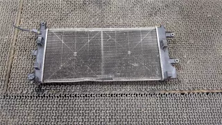 214103NL1A,214103NL0A Радиатор основной Nissan Leaf 1 Арт 8125753, вид 5