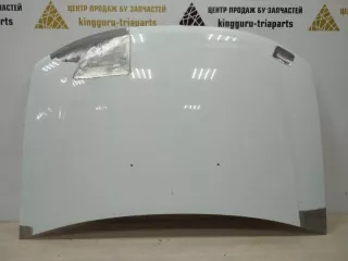651000987R Капот белый Renault Duster 1 Арт TP44987, вид 1