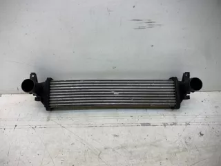 302000140AA Интеркулер Chery Tiggo 8 PRO Арт lz187994, вид 1