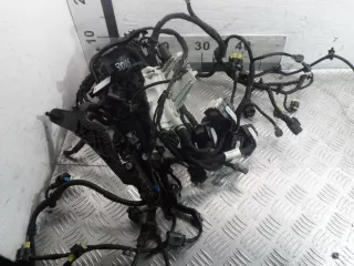 6541501100 Проводка двигателя Mercedes E W213 2.2л Арт 00162319, вид 1