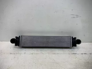 23338101 Интеркулер Geely Coolray Арт VZ190526, вид 1