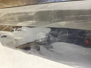 9004Z6 дверь Citroen Berlingo 2  Арт SP11465, вид 9