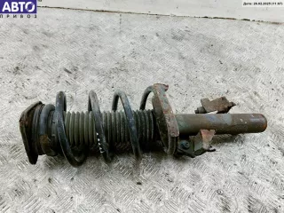 CDY0-34-900 Стойка подвески передняя левая Mazda 5 1 Арт 54206404, вид 1