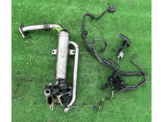 03g131512s Радиатор EGR Volkswagen Passat B6 Арт 43152, вид 1