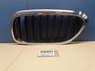 51137390865 Решетка радиатора левая BMW 5 G30/G31 Арт Z198402, вид 1