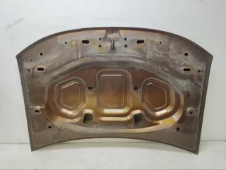 651000987R капот Renault Duster 1 Арт VZ192281, вид 9