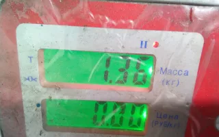 038105243M Шкив коленвала демпферный дизельный Skoda Rapid Арт NKR02AZ01, вид 5