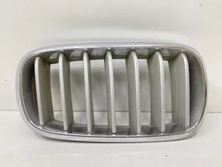 51137316054 решетка радиатора BMW X5 F15 Арт SP12577, вид 1