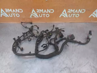 2037372, DN1T12A522DC проводка двигателя Ford EcoSport Арт AR153976, вид 1