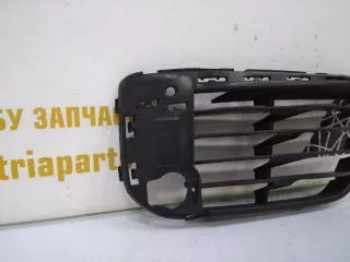 51117453980 Решетка бампера BMW X1 F48 Арт TP51330, вид 2