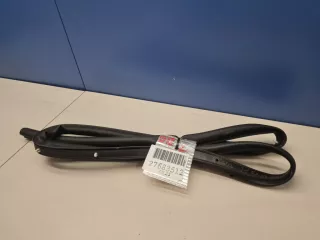 A2177200554 Уплотнитель двери передней левой Mercedes S C217 Арт Z300115, вид 1