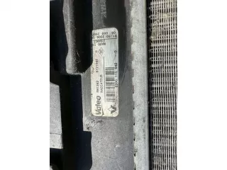 8200115542 Радиатор (основной) Renault Scenic 2 Арт 45375, вид 3