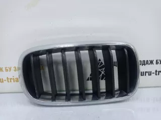 7316054 Решетка радиатора BMW X5 F15 Арт TP53587, вид 1