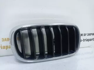 7316054 Решетка радиатора BMW X5 F15 Арт TP53587, вид 2