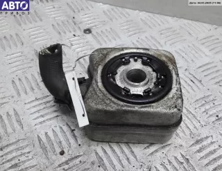 028117021L Радиатор масляный Volkswagen Golf 5 Арт 54340847, вид 1