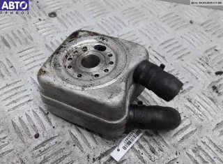028117021L Радиатор масляный Volkswagen Golf 5 Арт 54340847, вид 2