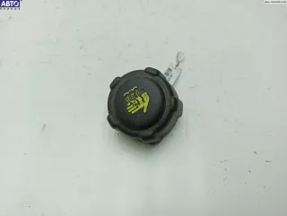  Пробка расширительного бачка Renault Scenic 1 Арт 54193347