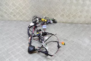 2032441-00-A , art5792433 Проводка двери Tesla model X Арт 5792433, вид 3