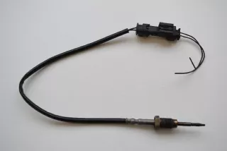 7805606, 02265600-1901 , art263856 Датчик температуры BMW X5 E70 Арт 263856, вид 1