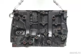  Блок двигателя Nissan X-Trail T31 Арт E100152358