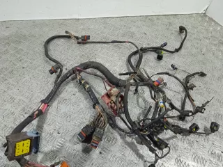 8200553455 Проводка двигателя Renault Scenic 2 Арт 46023043541_2, вид 4
