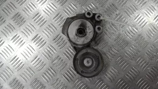 03C145299J Натяжитель ремня генератора Volkswagen Golf 6 Арт 88208.24, вид 1