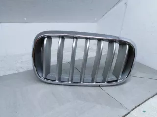51137316053 Решетка радиатора BMW X5 F15 Арт 6097337, вид 1