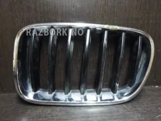 51117210725 Решетка радиатора BMW X3 F25 Арт 287971, вид 1