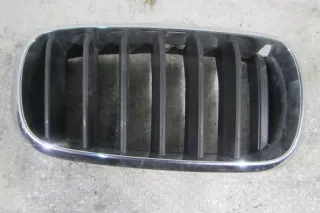 51137316054 Решетка радиатора BMW X5 F15 Арт 4358489, вид 1