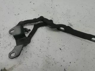 41617210678 Петля капота правая BMW 3 E90/E91/E92/E93 Арт 5846865, вид 1