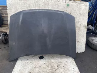 12478013 Капот Chevrolet TrailBlazer 1 Арт 6044500