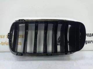51137316054 Решетка радиатора BMW X5 F15 Арт TP57709, вид 4