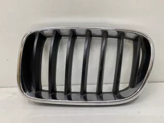 51117210725 решетка радиатора BMW X3 F25 Арт SP12024, вид 1