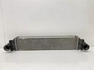 6600001987 интеркулер Geely Coolray Арт SP13916, вид 1
