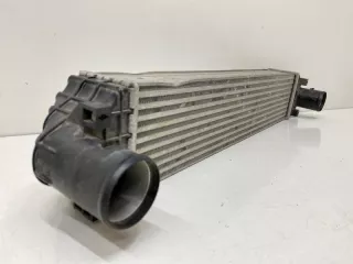 6600001987 интеркулер Geely Coolray Арт SP13916, вид 2