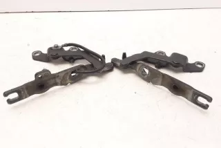 7060560, 7060559 , art8282484 Петля капота BMW 1 E81/E82/E87/E88 Арт 8282484, вид 5