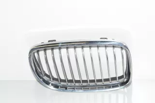 7201970, 51137201970 , art7995029 Заглушка (решетка) в бампер передний BMW 3 E90/E91/E92/E93 Арт 7995029, вид 1