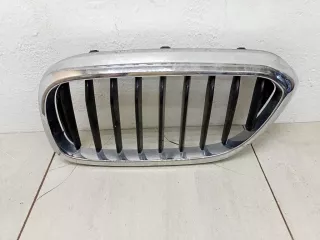 51137383519 Решетка радиатора BMW 5 G30/G31 Арт 6125379, вид 1