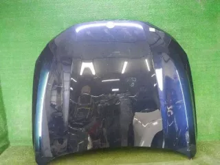41617427501 Капот BMW 7 G11/G12 Арт 0000003964934, вид 1