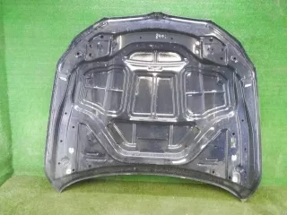 41617427501 Капот BMW 7 G11/G12 Арт 0000003964934, вид 2