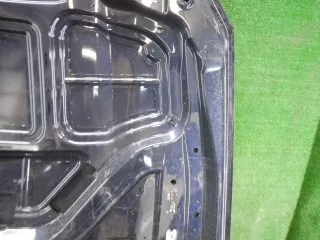 41617427501 Капот BMW 7 G11/G12 Арт 0000003964934, вид 10