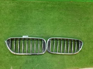 51137383519 Решетка радиатора Комплект BMW 5 G30/G31 Арт 0000005190799, вид 1