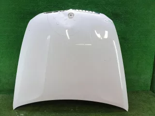41617275285 Капот BMW X6 E71/E72 Арт 0000005431823, вид 1