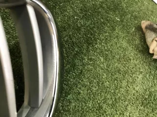 51117210725 Решетка радиатора левая BMW X3 F25 Арт 0000005701629, вид 13