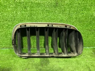 51137316061 Решетка радиатора левая BMW X5 F15 Арт D6387, вид 2
